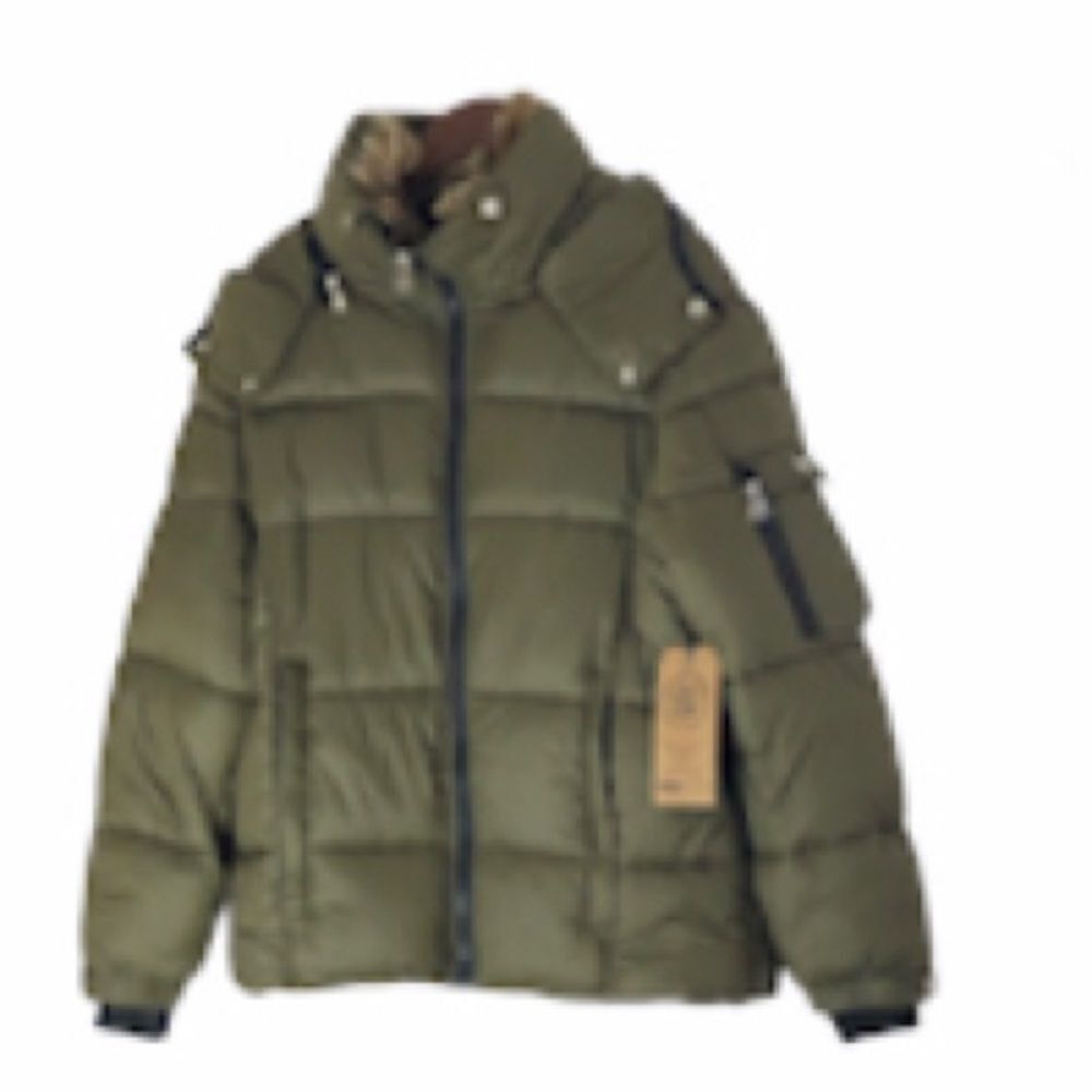 Sedums Brand Co